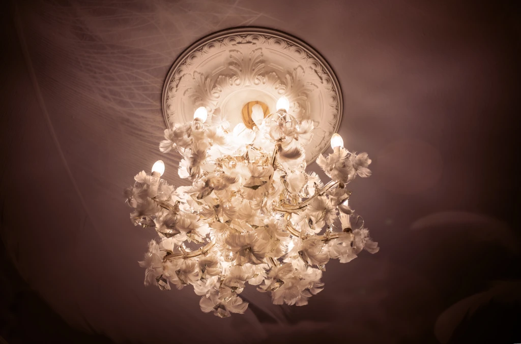 DZ_WO_Gans_Zi_101_DSC2466